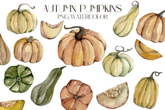 Autumn Pumpkin Illustrations for Bloggers