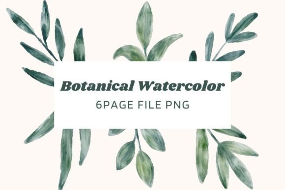 Botanical Watercolor 01: Premium Illustrations
