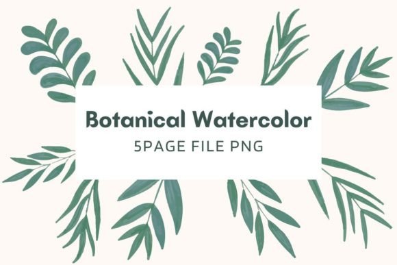 Botanical Watercolor Pack 03: Illustrations Review