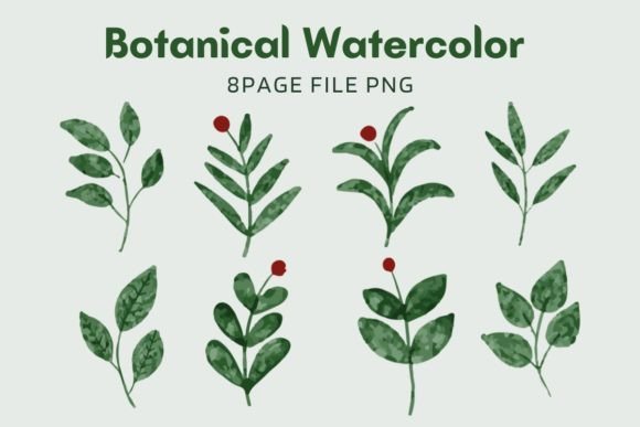 Botanical Watercolor Pack 04: Premium Illustrations