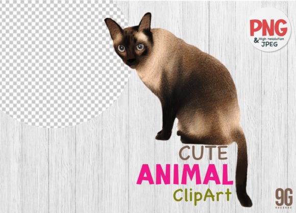 Cat Watercolor Cute Animals Clipart: A Visual Designer’s Review for Real Publishing Use