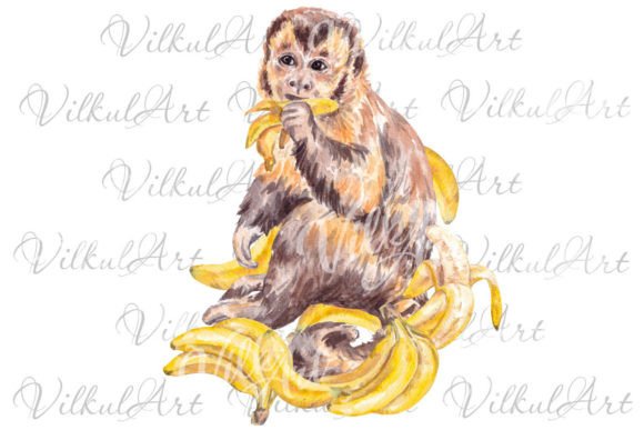 Cute Animal Png Monkey Watercolor Illustrations for Branding & Marketing