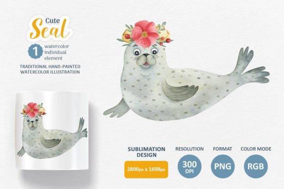 Cute Seal Watercolor PNG Illustrations for Design