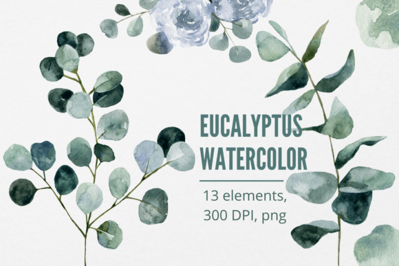 Eucalyptus & Protea Watercolor Illustrations for Crafters & Etsy Sellers