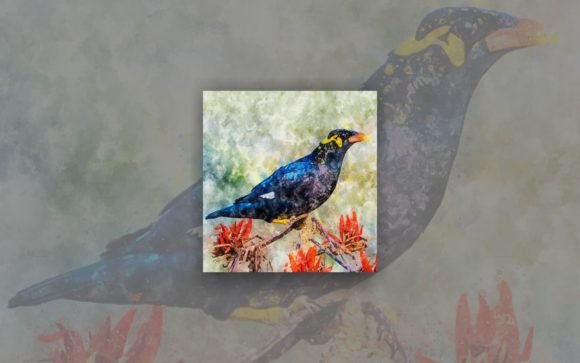GRACULA RELIGIOSA in WATERCOLOR PAINTING