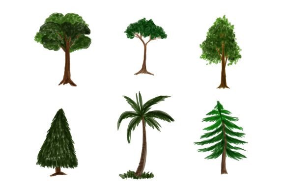 Illustration of Watercolor Tree: A Brand Review