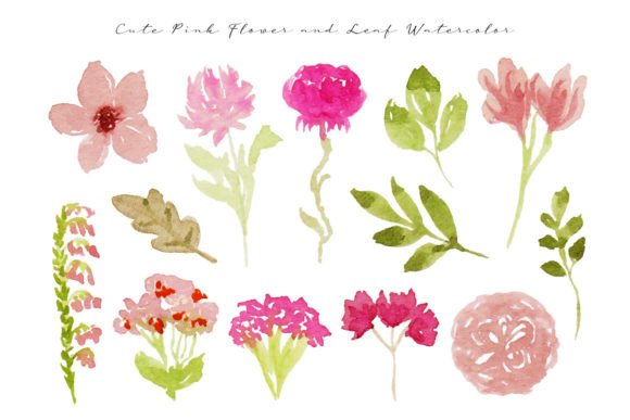 Pink Flowers and Leaves Watercolor Illustrations