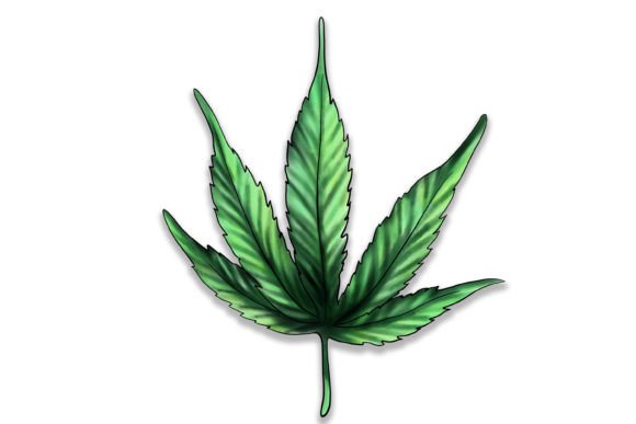 Watercolor Cannabis Leaf: A Designer’s Real-World Embroidery Review