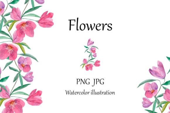 Watercolor Flower Illustrations for Blogs