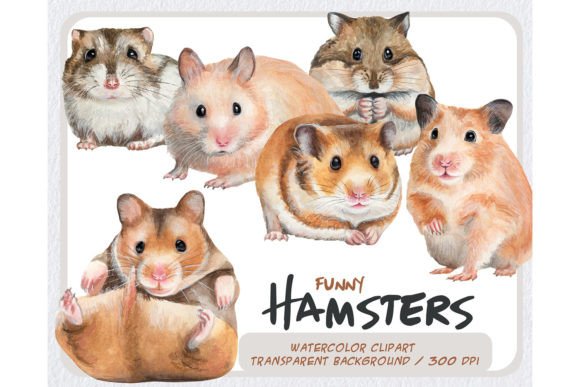 Watercolor Hamsters Clipart Set-pets Png Illustrations