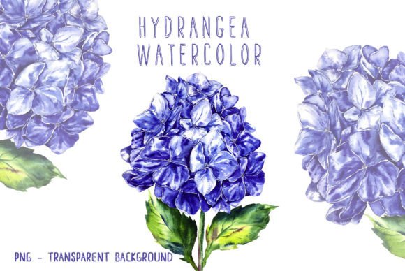 Watercolor Hydrangea Blue Flower Botanic Review