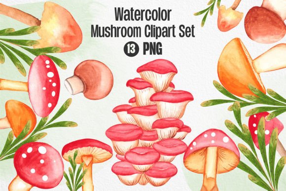 Watercolor Mushroom Clipart Set & Illustrations