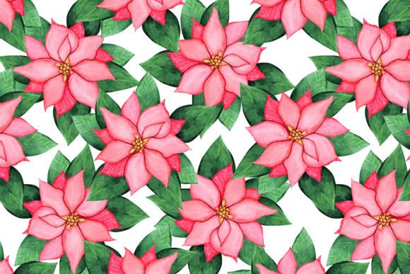 Watercolor Poinsettia Seamless Pattern Review