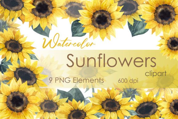 Watercolor Sunflower Wedding Clipart & Illustrations
