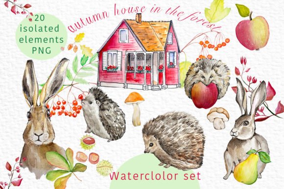 Watercolour Hand-drawn Animals Clipart: A Brand Designer’s Honest Review for Marketing & Visual Content