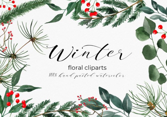 Winter Florals Watercolor Clipart & Illustrations